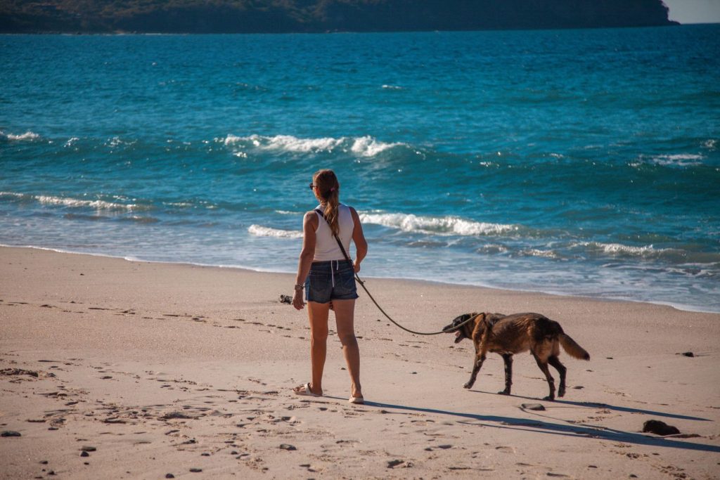 A woman walking a dog on a beach